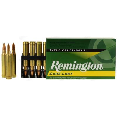 REMINGTON - MUNITION - CAT C - 300 WM - 180 GR - PSP - CORE L. - CG300W2 - X20