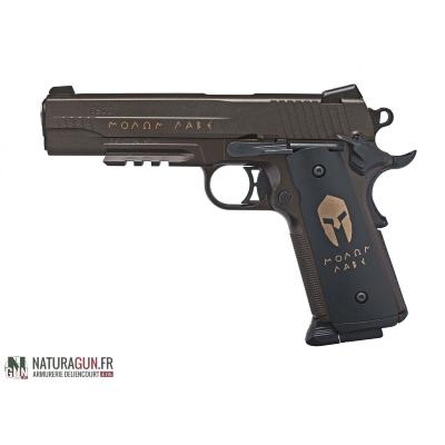 SIG SAUER - PISTOLET - BB'S - CAT D - 1911 - SPARTAN- 4.5MM - CO2 - ACP551