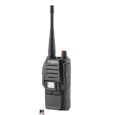 WALDBERG - TALKIE WALKIE - P9 - PMR 446 - PRO - ECRAN LCD - A69235