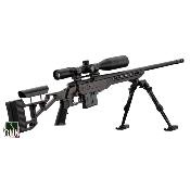 HOWA - CARABINE - CAT C - PACK 1500 TSP-X - 308 WIN - LUN. + BP + MAL - HOTP012